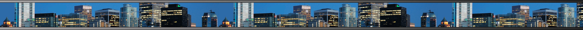 Fortis International, Inc